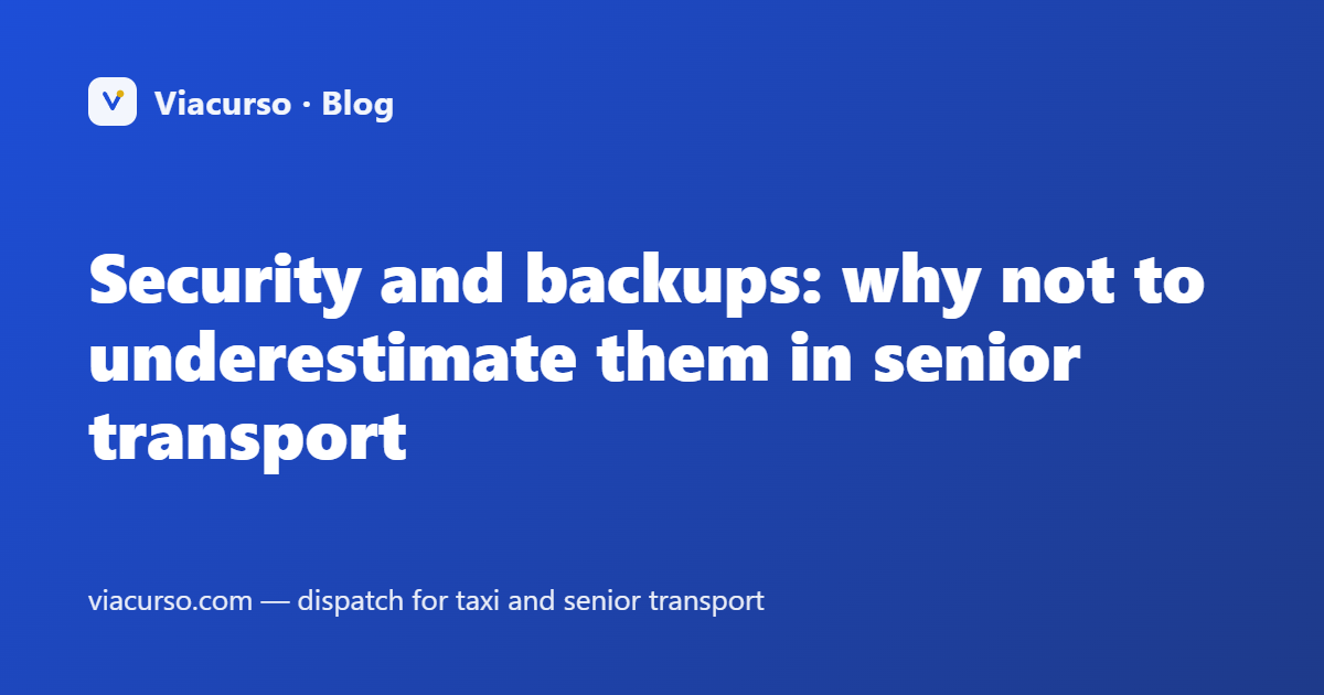 Security and backups: why not to underestimate them in senior transport
